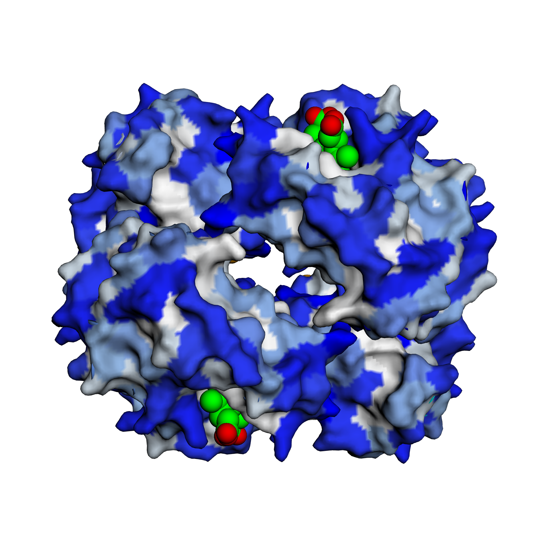 Deoxyhaemoglobin coloured by hydrophobicity