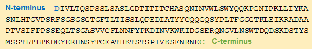 Amino acid sequence