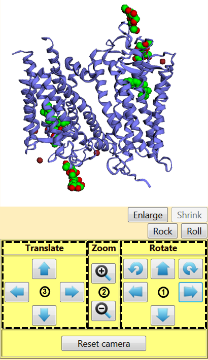 Visualing a protein