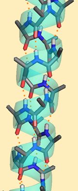 Example of an alpha-helix