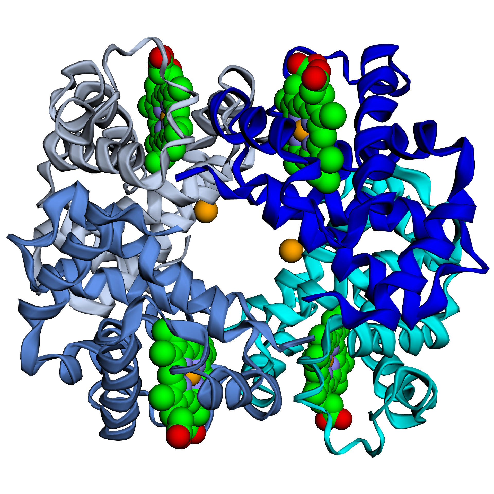 Deoxyhaemoglobin chains