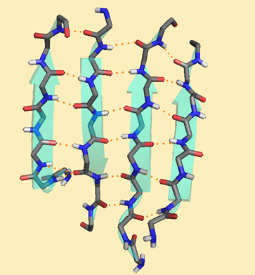 Example of a beta-sheet