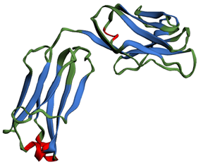 Secondary structure elements highlighted in different colours