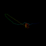 3D model
