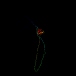 3D model