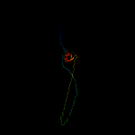 3D model