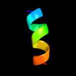 3D model