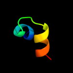 3D model
