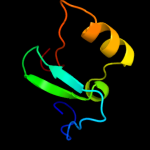 3D model
