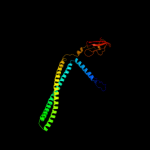 3D model