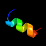 3D model