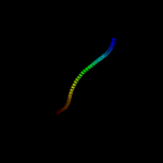 3D model