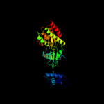 3D model