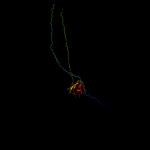 3D model