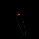3D model