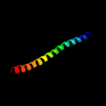 3D model