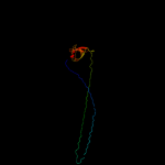 3D model