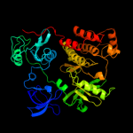 3D model