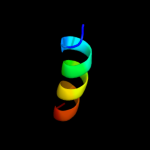 3D model