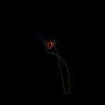 3D model