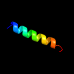 3D model