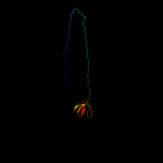 3D model