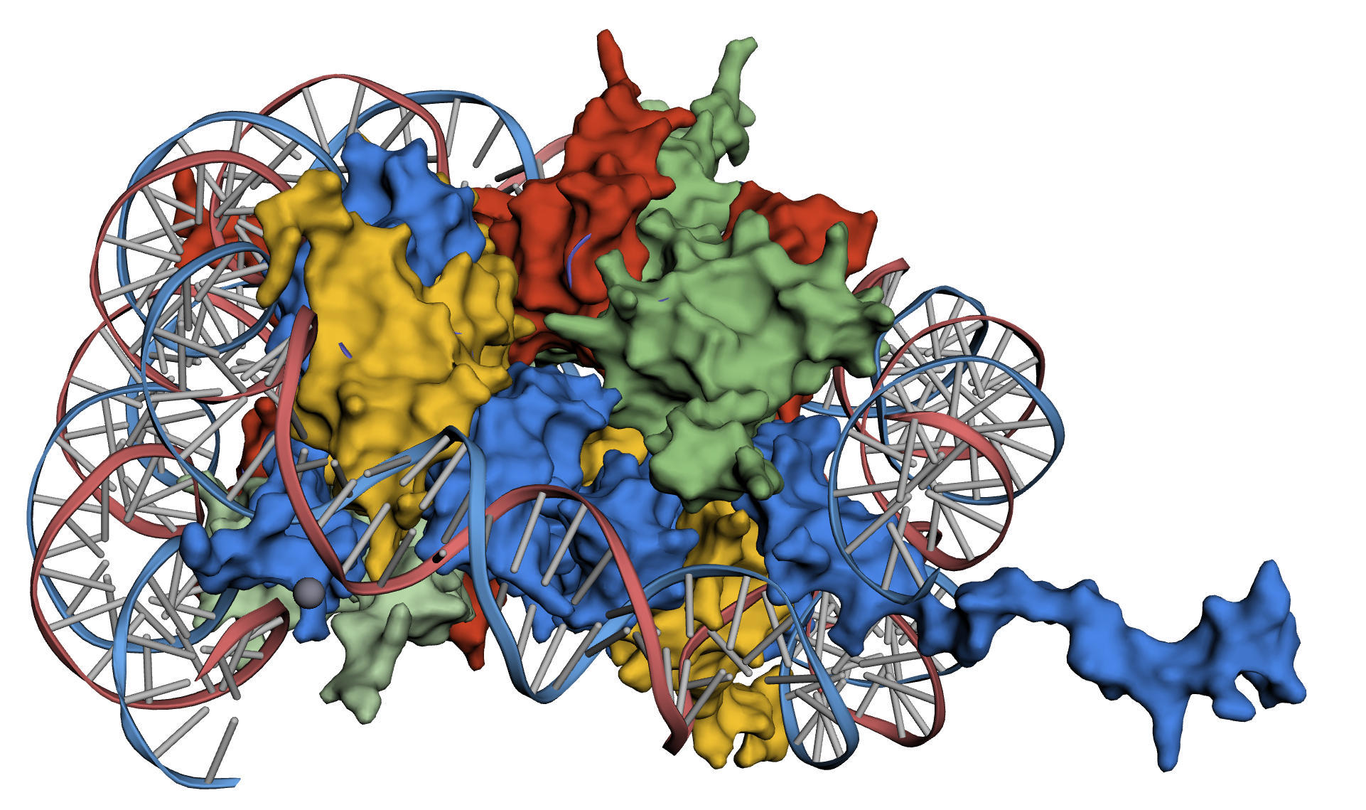 Nucleosome