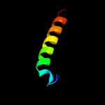 3D model